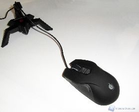 skorpion 6